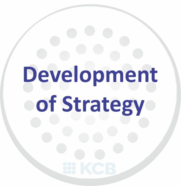 Development of Strategy (Aug 25)