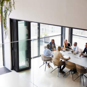 Boardroom Dynamics - Revision for June 2026 Exam