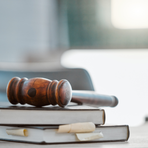 Company Law - Flexible (Feb 2026)